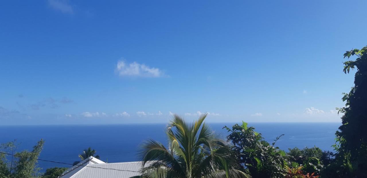 "Sunrise Inn" Nature Island Dominica Penville Eksteriør billede
