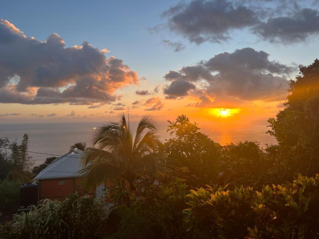 "Sunrise Inn" Nature Island Dominica Penville Eksteriør billede