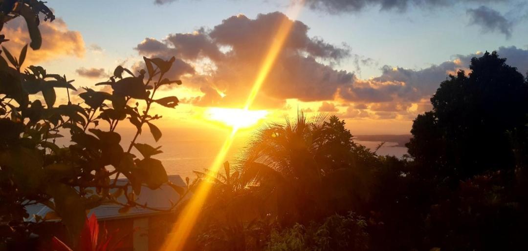 "Sunrise Inn" Nature Island Dominica Penville Eksteriør billede