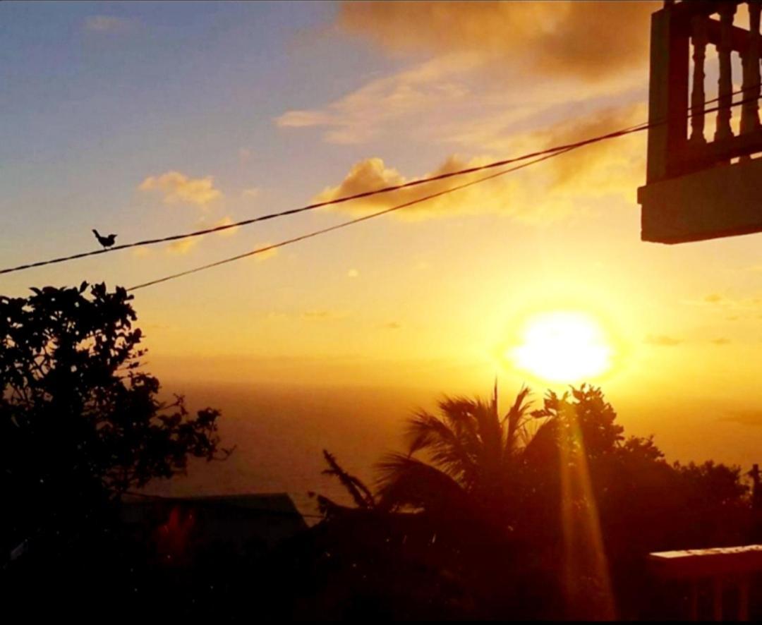 "Sunrise Inn" Nature Island Dominica Penville Eksteriør billede